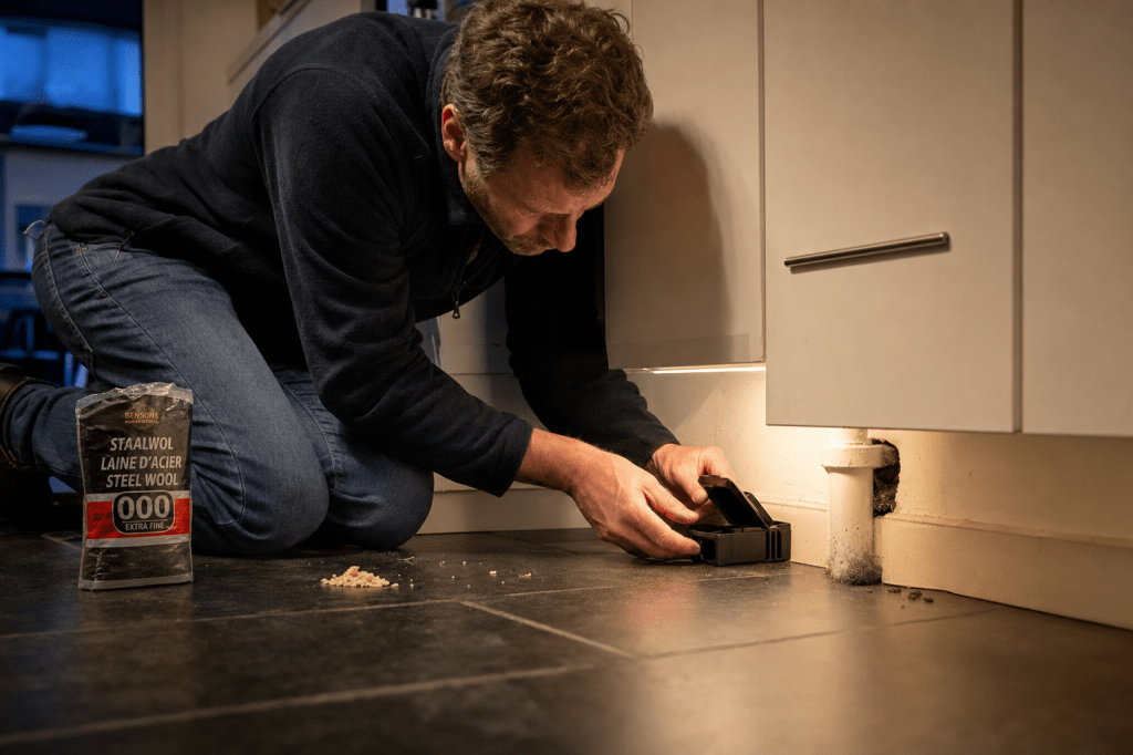 Welke veilige en effectieve methoden kun je inzetten om ratten te verjagen en te bestrijden zonder gif, en wanneer schakel je een professional&nbsp;in?